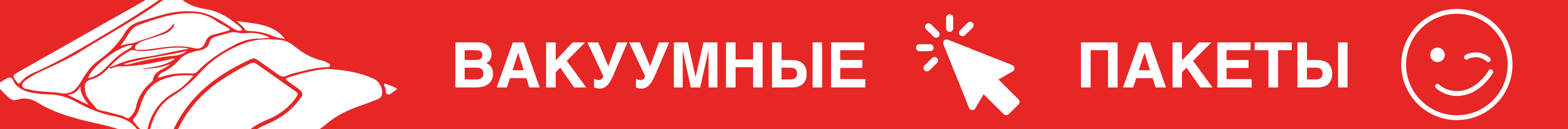 Промо - вакуумные пакеты Промо - вакуумные пакеты