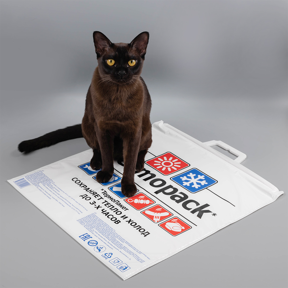 Термопакет Эконом для продуктов, 420*450 мм Термопакет Эконом для продуктов, 420*450 мм