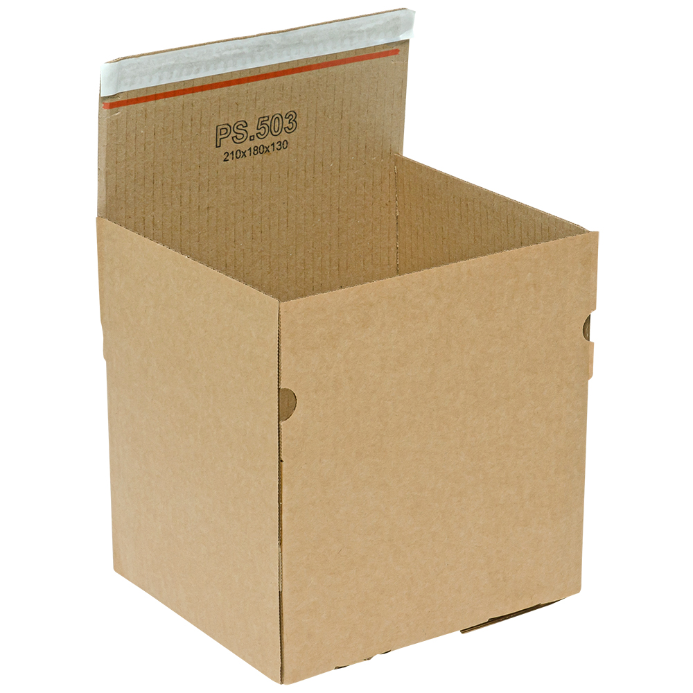 Почтовый короб PS.503 с клеевым клапаном, 210*180*130 мм, Т-23 В Почтовый короб PS.503 с клеевым клапаном, 210*180*130 мм, Т-23 В