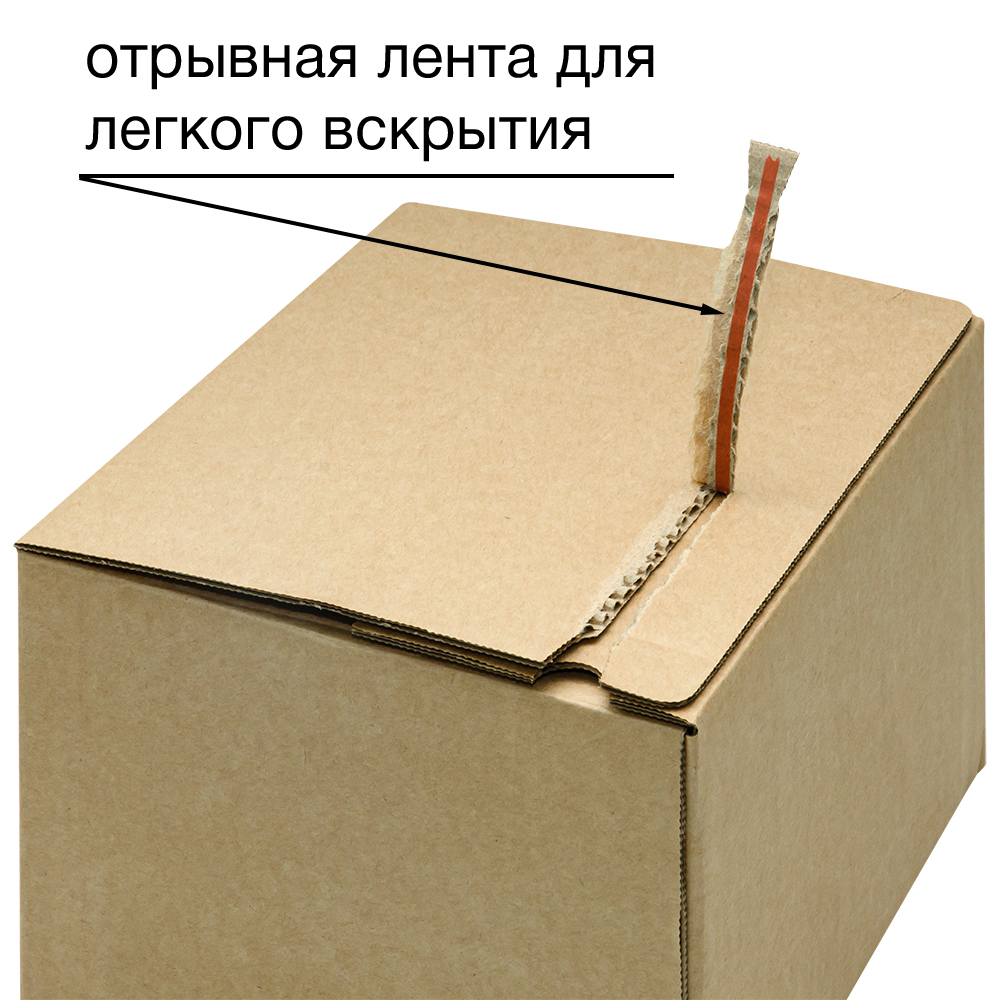 Почтовый короб PS.503 с клеевым клапаном, 210*180*130 мм, Т-23 В Почтовый короб PS.503 с клеевым клапаном, 210*180*130 мм, Т-23 В