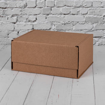 Почтовый короб тип «Д», 220*165*100 мм, T-23 В, 100% целлюлоза